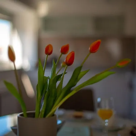 Appartement Delfina 2